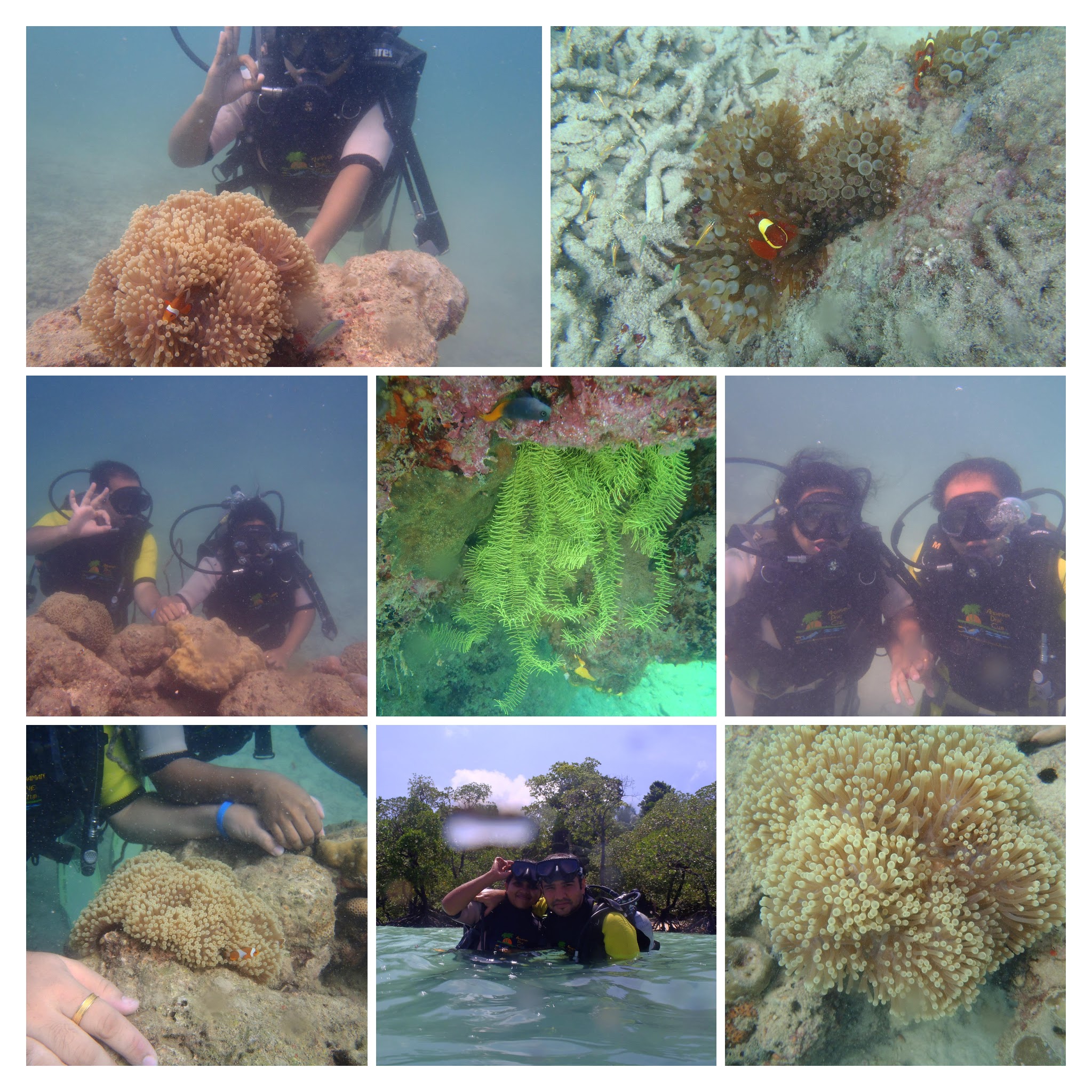 andaman scuba diving